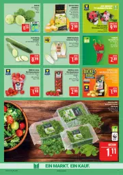 Gazetka promocyjna Marktkauf - Prospekt - Gazetka - ważna od 14.02 do 14.02.2026 - strona 9 - produkty: Becher, deka, eis, elle, feinschmecker, gurke, kartoffel, kartoffeln, kohlrabi, LG, mini-rispentomaten, pflaume, pflaumen, rispentomaten, salat, Salatgurke, speisekartoffeln, Ti, tomate, tomaten