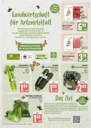 Gazetka promocyjna Edeka - Prospekte - Gazetka - ważna od 13.07 do 13.07.2024 - strona 7 - produkty: arla, bio, deka, eis, elle, fleisch, hackfleisch, natur, pflanze, pflanzen, reis, rind, rinder, rinder-hackfleisch, rum, stauden, Ti, ZTE, zucchini