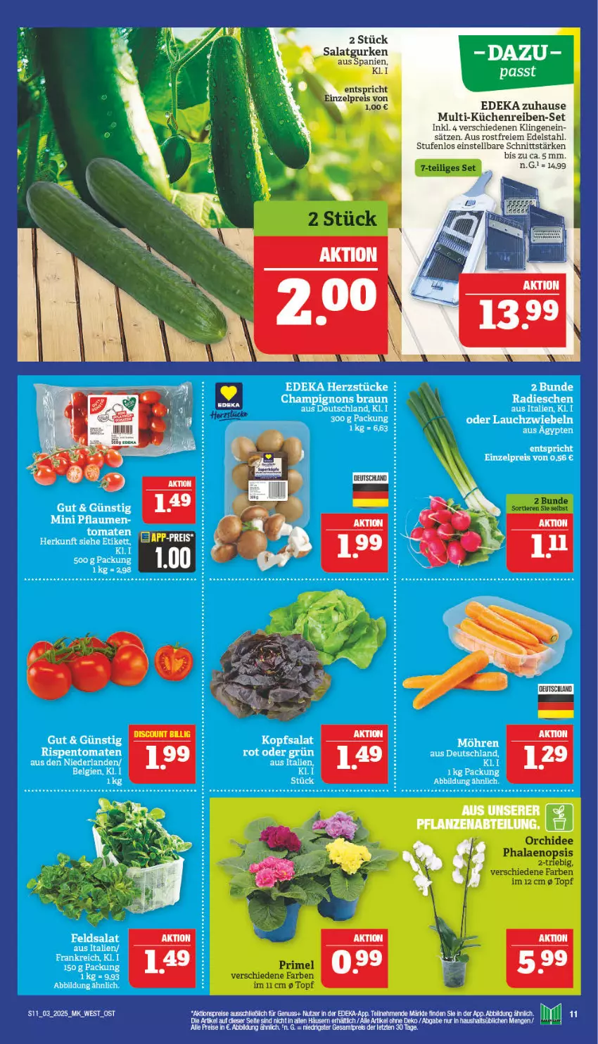 Aktueller Prospekt Marktkauf - Prospekt - von 12.01 bis 18.01.2025 - strona 11 - produkty: aktionspreis, deka, edelstahl, eis, gurke, gurken, küche, Küchen, Küchenreibe, nuss, orchidee, phalaenopsis, reis, salat, Salatgurke, salatgurken, Ti, Tiere, topf, ZTE