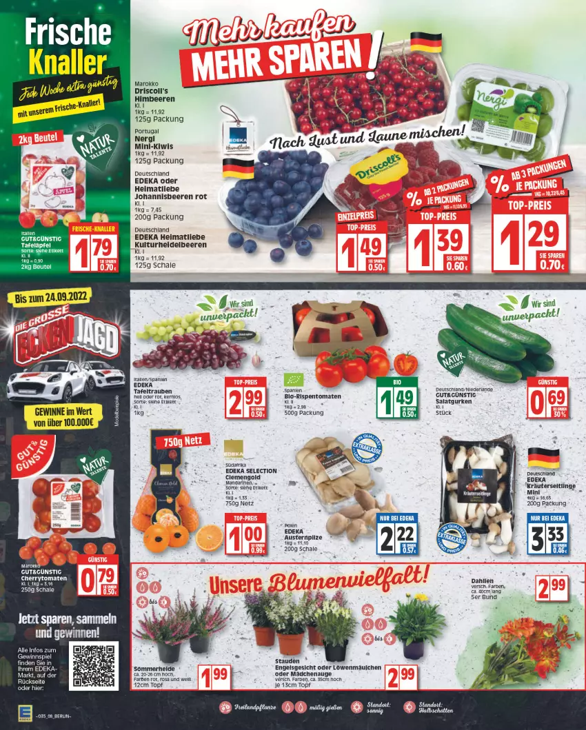 Aktueller Prospekt Edeka - Angebote der Woche - von 29.08 bis 03.09.2022 - strona 8 - produkty: aust, Austern, beere, beeren, beutel, bio, cherrytomaten, deka, driscoll's, Engel, gewinnspiel, gurke, gurken, heidelbeere, heidelbeeren, himbeer, himbeere, himbeeren, johannisbeere, Johannisbeeren, kiwi, kräuter, mandarine, mandarinen, rispentomaten, salat, Salatgurke, salatgurken, Schal, Schale, stauden, tafeläpfel, tafeltrauben, Ti, tomate, tomaten, topf, trauben