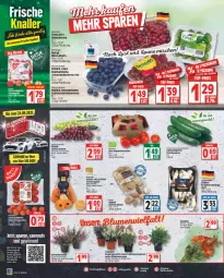 Gazetka promocyjna Edeka - Angebote der Woche - Gazetka - ważna od 03.09 do 03.09.2022 - strona 8 - produkty: aust, Austern, beere, beeren, beutel, bio, cherrytomaten, deka, driscoll's, Engel, gewinnspiel, gurke, gurken, heidelbeere, heidelbeeren, himbeer, himbeere, himbeeren, johannisbeere, Johannisbeeren, kiwi, kräuter, mandarine, mandarinen, rispentomaten, salat, Salatgurke, salatgurken, Schal, Schale, stauden, tafeläpfel, tafeltrauben, Ti, tomate, tomaten, topf, trauben