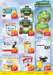 Gazetka promocyjna Netto Marken-Discount - Filial-Angebote - Gazetka - ważna od 11.02 do 11.02.2023 - strona 21 - produkty: almette, angebot, auer, aufstrich, Bau, Bauer, bergader, bestpreis, bier, brot, brotaufstrich, brotaufstriche, eis, ferrero, frischkäse, Grießpudding, hafer, joghur, joghurt, Käse, käsescheiben, Kinder, kinder pingui, landliebe, Mett, milch, milka, milkana, Müller, müllermilch, pingui, Popp, pudding, reis, sahne, Sahnejoghurt, Ti, zott, ZTE