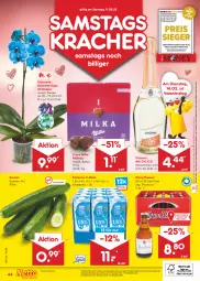 Gazetka promocyjna Netto Marken-Discount - Filial-Angebote - Gazetka - ważna od 11.02 do 11.02.2023 - strona 44 - produkty: angebot, angebote, asti, bestpreis, cin, cinzano, Cinzano Asti, discount, eis, gurke, gurken, Holz, könig pilsener, kracher, marken-discount, Mett, milch, milka, ndk, orchidee, orchideen, pils, pilsener, reis, Schmetterling, schmetterlingsorchidee, Ti, topf, wein, ZTE