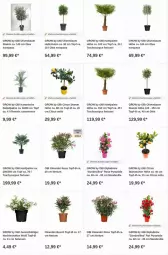 Gazetka promocyjna Obi - Prospekte - Gazetka - ważna od 19.07 do 19.07.2023 - strona 4 - produkty: Bau, citrus, dip, olive, oliven, Ti, topf