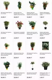 Gazetka promocyjna Obi - Prospekte - Gazetka - ważna od 19.07 do 19.07.2023 - strona 6 - produkty: apfel, citrus, dip, dipladenia, grana, granatapfel, lachs, punica, Rana, sim, Ti, topf