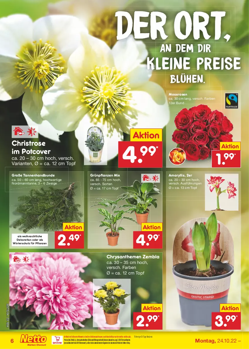 Aktueller Prospekt Netto Marken-Discount - Filial-Angebote - von 24.10 bis 29.10.2022 - strona 6 - produkty: bestpreis, chrysanthemen, dekoration, eis, Grünpflanzen, leine, ndk, pflanze, pflanzen, reis, Ria, rosen, Ti, topf, usb, versandkostenfrei, Winterschutz