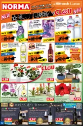 Gazetka promocyjna Norma - Norma - Gazetka - ważna od 09.01 do 09.01.2022 - strona 12 - produkty: Alwa, beere, beeren, bier, Birnen, blume, Blüte, brombeere, brombeeren, Bromelie, Fettlöser, flasche, frucht, früchte, gin, himbeer, johannisbeere, Johannisbeeren, kirsch, kraft, kulturtopf, mac, mineralwasser, orange, orchidee, pfirsich, pflanze, phalaenopsis, primitivo, rapsöl, reines rapsöl, reiniger, rotwein, Schal, Schale, schnitzel, Schnitzel-Bruch, schoko, schwein, sprühflasche, Ti, topf, übertopf, vanille, vita, wasser, wein, weine, Wild