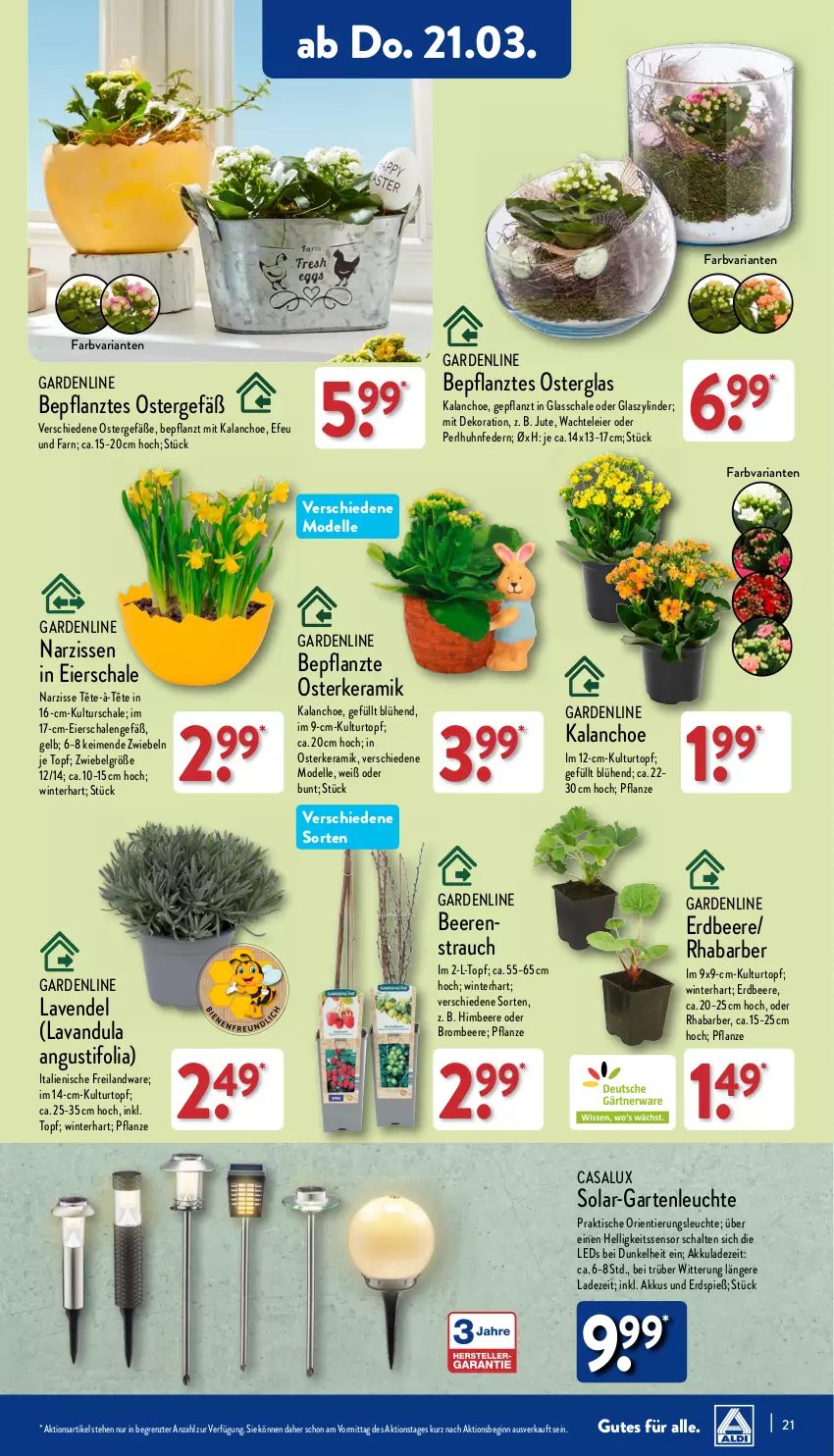 Aktueller Prospekt Aldi Nord - Von Montag - von 18.03 bis 23.03.2024 - strona 21 - produkty: akku, beere, beeren, Blüte, Brei, brombeere, dekoration, dell, eier, elle, erdbeere, Garten, gin, himbeer, himbeere, Kalanchoe, kulturtopf, lavendel, leds, Leuchte, LG, Mode, Narzissen, pflanze, Rauch, rhabarber, Ria, Schal, Schale, Ti, tisch, topf, ZTE, zwiebel, zwiebeln