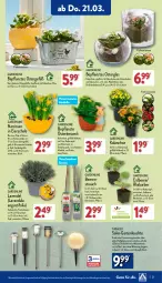 Gazetka promocyjna Aldi Nord - Von Montag - Gazetka - ważna od 23.03 do 23.03.2024 - strona 21 - produkty: akku, beere, beeren, Blüte, Brei, brombeere, dekoration, dell, eier, elle, erdbeere, Garten, gin, himbeer, himbeere, Kalanchoe, kulturtopf, lavendel, leds, Leuchte, LG, Mode, Narzissen, pflanze, Rauch, rhabarber, Ria, Schal, Schale, Ti, tisch, topf, ZTE, zwiebel, zwiebeln