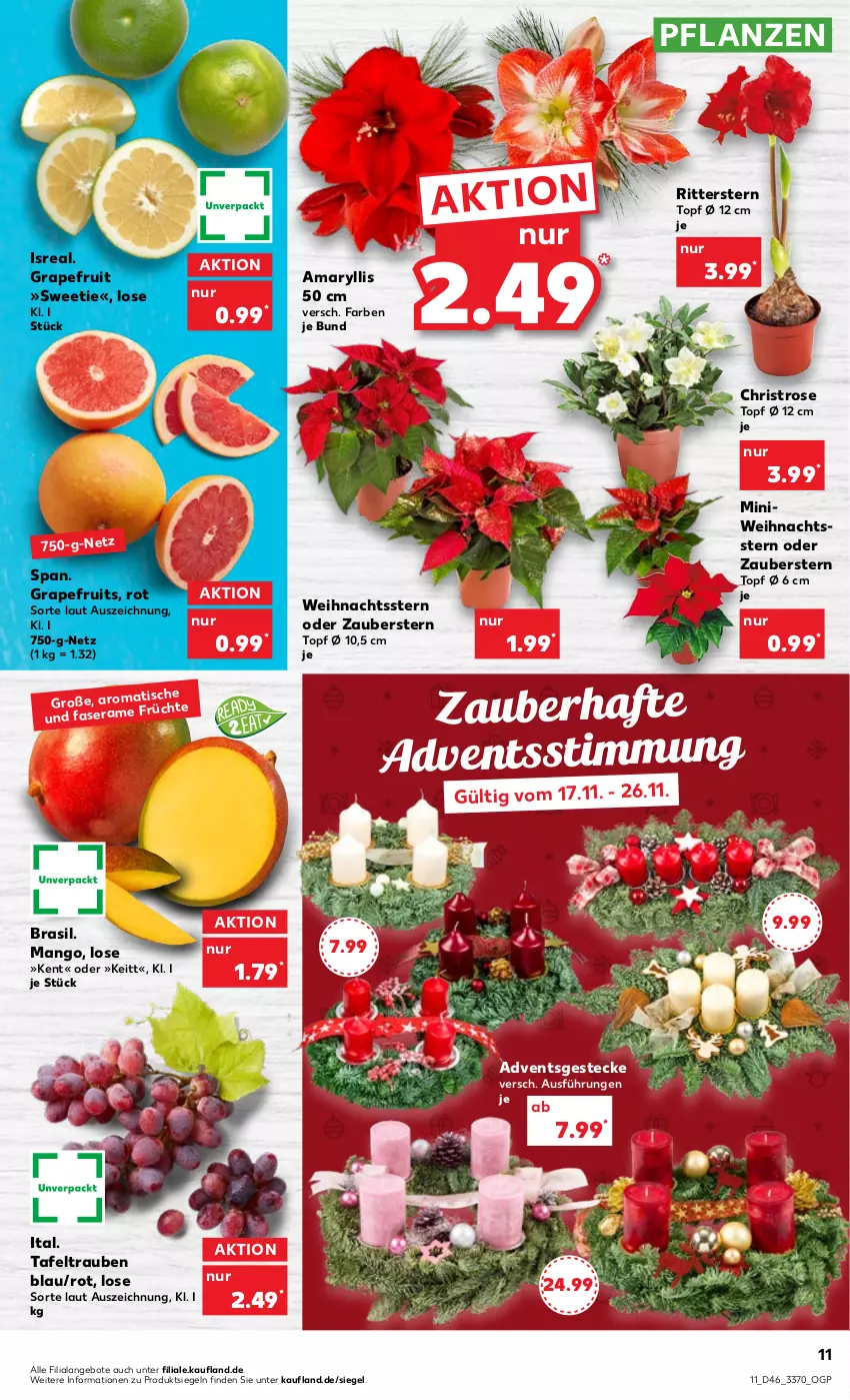 Aktueller Prospekt Kaufland - von 17.11 bis 23.11.2022 - strona 11 - produkty: angebot, angebote, früchte, grapefruit, mango, pflanze, pflanzen, ritter, tafeltrauben, Ti, tisch, topf, topf ø 12 cm, trauben, Weihnachtsstern