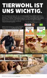 Gazetka promocyjna Kaufland - Gazetka - ważna od 23.11 do 23.11.2022 - strona 41 - produkty: angebot, angebote, Bau, eis, erde, fleisch, Geflügel, Heu, hose, LG, rind, rindfleisch, schwein, schweine, schweinefleisch, Ti, wein, weine