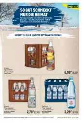 Gazetka promocyjna Metro - Regionaler Flyer - Seite 48 - Gazetka - ważna od 31.01 do 31.01.2026 - strona 25 - produkty: Alwa, apfel, Apfelschorle, flasche, getränk, getränke, mac, mineralwasser, Palette, schorle, Ti, wasser