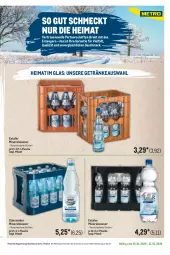 Gazetka promocyjna Metro - Regionaler Flyer - Seite 48 - Gazetka - ważna od 31.01 do 31.01.2026 - strona 45 - produkty: Alwa, Extaler, flasche, getränk, getränke, mac, mineralwasser, Palette, Steinsieker, Ti, wasser