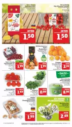 Gazetka promocyjna Marktkauf - Prospekt - Gazetka - ważna od 28.01 do 28.01.2023 - strona 11 - produkty: braun, champignon, champignons, champignons braun, deka, eis, feldsalat, kartoffel, kartoffeln, mandarine, mandarinen, orange, orangen, pflaume, pflaumen, Pflaumen-Tomaten, reis, salat, Schal, Schale, speisekartoffeln, tafeltrauben, Ti, tomate, tomaten, trauben, ZTE