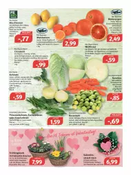 Gazetka promocyjna Feneberg - Prospekte - Gazetka - ważna od 12.02 do 12.02.2022 - strona 6 - produkty: auer, Bau, beutel, bio, bio-zitronen, Blutorange, bohne, bohnen, eier, eintöpfe, eis, erbsen, fleisch, frucht, ilag, karotten, knacker, kohlrabi, korb, Kraut, LG, mac, mandarine, mandarinen, messer, obst, orange, orangen, prinzessbohnen, reis, rosen, Rosenkohl, saft, salat, Sauerkraut, Schal, Schale, schnitten, suppe, suppen, Ti, tisch, vita, WICK, zitrone, zitronen, zucker