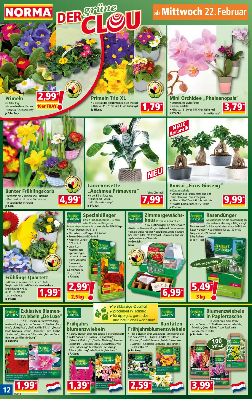 Aktueller Prospekt Norma - Norma - von 20.02 bis 27.02.2023 - strona 12 - produkty: ball, basilikum, Bau, beere, beeren, Begonie, bio, blume, blumen, Blüte, dahlie, dünger, erde, Ficus, Garten, Gewächshaus, gin, Gladiolen, gurke, kakao, Konifere, korb, kräuter, kulturtopf, LG, messer, mit gemüse, natur, orchidee, papier, paprika, petersilie, pflanze, pflanzen, phalaenopsis, Primeln, rasen, rasendünger, Ria, rosen, Schal, Schale, Schmuck, sesam, Spezi, Tasche, Ti, tomate, topf, Tüte, übertopf, Yo, zwiebel, zwiebeln