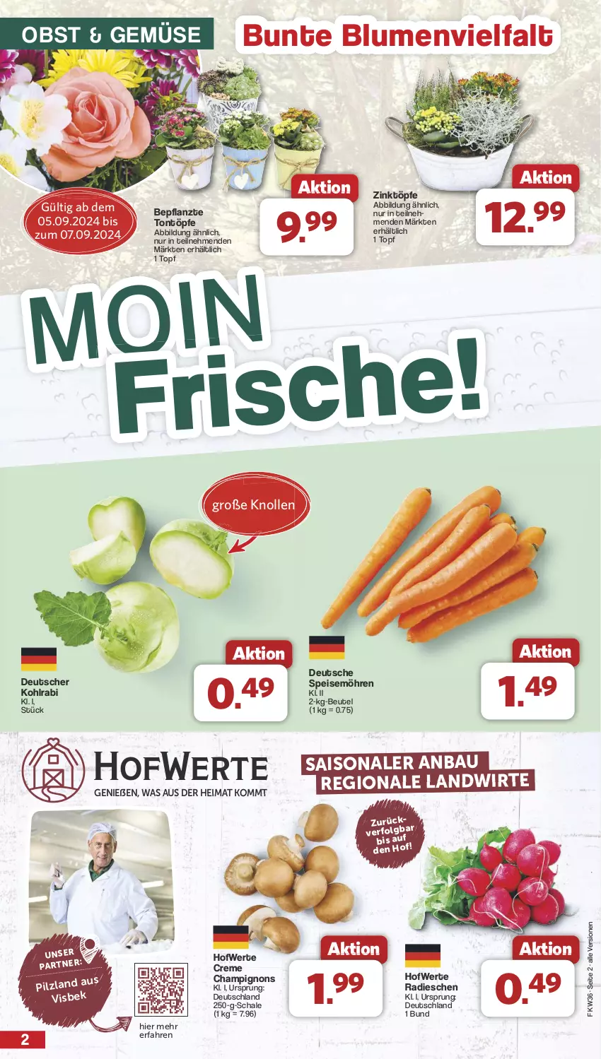 Aktueller Prospekt Famila - Prospekte - von 02.09 bis 07.09.2024 - strona 2 - produkty: Bau, beutel, blume, blumen, champignon, champignons, creme, eis, kohlrabi, LG, möhren, obst, radieschen, Schal, Schale, speisemöhren, Ti, topf, ZTE