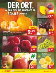 Gazetka promocyjna Netto Marken-Discount - Filial-Angebote - Gazetka - ważna od 28.10 do 28.10.2023 - strona 8 - produkty: angebot, angebote, asti, beere, beeren, beutel, bio, bio-zitronen, chiquita, eis, himbeer, himbeere, himbeeren, mango, ndk, pflaume, pflaumen, reis, Schal, Schale, Ti, trauben, zitrone, zitronen