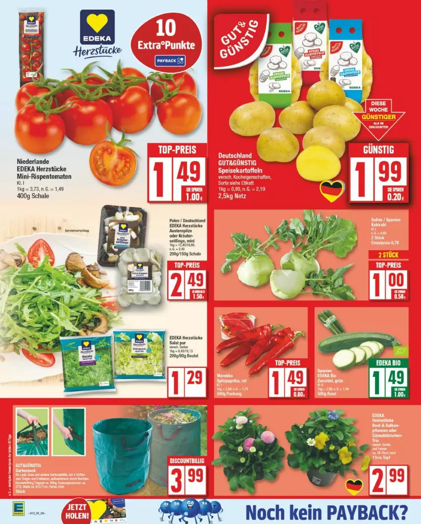 Aktueller Prospekt Edeka - Prospekte - von 17.03 bis 22.03.2025 - strona 5 - produkty: aust, Austern, bio, chia, deka, edeka bio, mini-rispentomaten, pilze, rispentomaten, salat, Schal, Schale, tomate, tomaten