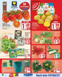 Gazetka promocyjna Edeka - Prospekte - Gazetka - ważna od 22.03 do 22.03.2025 - strona 5 - produkty: aust, Austern, bio, chia, deka, edeka bio, mini-rispentomaten, pilze, rispentomaten, salat, Schal, Schale, tomate, tomaten