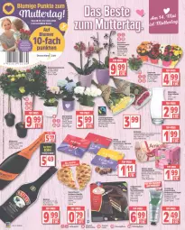 Gazetka promocyjna Edeka - Angebote der Woche - Gazetka - ważna od 13.05 do 13.05.2023 - strona 4 - produkty: amicelli, ball, blume, blumen, coppenrath, creme, deka, flasche, gin, ginger, handcreme, haselnuss, Haselnusscreme, hortensie, hortensien, leine, LG, nuss, orchidee, pflanze, phalaenopsis, Plunder, pralinen, ritter, ritter sport, rosen, sahne, schoko, schokolade, schokowürfel, Sport, Thea, Ti, topf, torte, vanille, Vase, Waffelröllchen, würfel