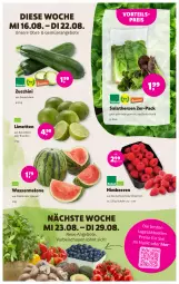 Gazetka promocyjna Denns Biomarkt - Prospekte - Gazetka - ważna od 29.08 do 29.08.2023 - strona 3 - produkty: angebot, angebote, beere, beeren, eis, elle, himbeer, himbeere, himbeeren, limette, limetten, melone, Mett, metten, obst, reis, salat, salatherzen, Schal, Schale, vorteilspreis, wasser, wassermelone, zucchini