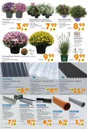 Gazetka promocyjna  - Gazetka - ważna od 12.09 do 12.09.2026 - strona 4 - produkty: Blüte, bürste, Carport, chrysanthemen, Clin, eis, kiwi, Lampe, latte, Laufen, Rauch, recyclingmaterial, reis, Ria, topf, Wellplatte, ZTE