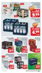 Gazetka promocyjna Marktkauf - Prospekt - Gazetka - ważna od 16.04 do 16.04.2022 - strona 29 - produkty: Alwa, auer, Bad, Bad Liebenwerda, bier, Duck, elle, gerolsteine, gerolsteiner, gin, ginger, kellerbier, köstritzer, LG, lichtenauer, Lübzer, mineralwasser, natürliches mineralwasser, pils, pilsener, radler, steiner, thomas henry, Ti, tonic, tonic water, veltins, veltins pilsener, warsteiner, wasser, Wild, wild berry