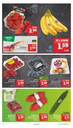 Gazetka promocyjna Marktkauf - Prospekt - Gazetka - ważna od 16.04 do 16.04.2022 - strona 6 - produkty: banane, bananen, beere, beeren, bio, deka, edeka bio, erdbeere, erdbeeren, gin, gurke, heidelbeere, heidelbeeren, himbeer, himbeere, himbeeren, LG, natur, paprika, paprika rot, rhabarber, salat, Salatgurke, Schal, Schale, Spitzpaprika