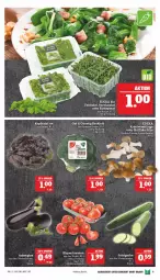 Gazetka promocyjna Marktkauf - Prospekt - Gazetka - ważna od 16.04 do 16.04.2022 - strona 9 - produkty: aubergine, blattspinat, brokkoli, cola, feldsalat, gin, gurke, kopfsalat, kräuter, Kräuterseitlinge, pilze, rispentomaten, rucola, salat, Salatgurke, spinat, Ti, tomate, tomaten