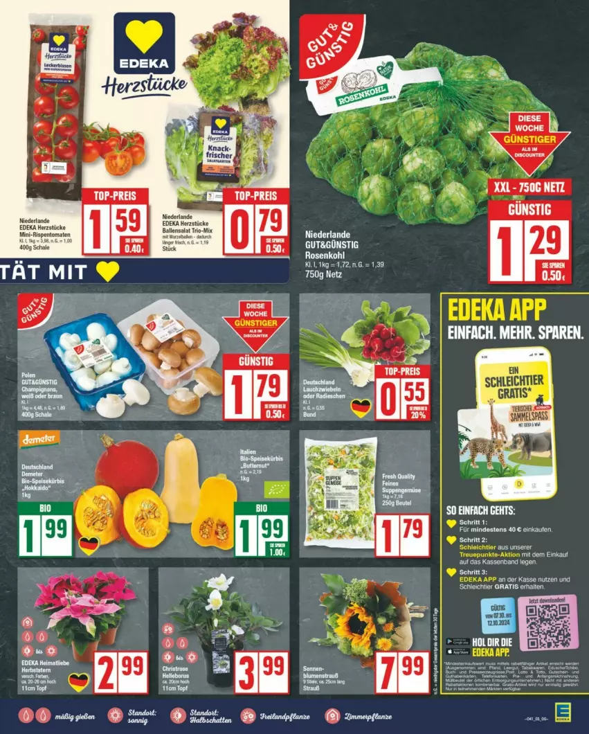 Aktueller Prospekt Edeka - Prospekte - von 05.10 bis 12.10.2024 - strona 3 - produkty: eis, reis, Ti, top-preis