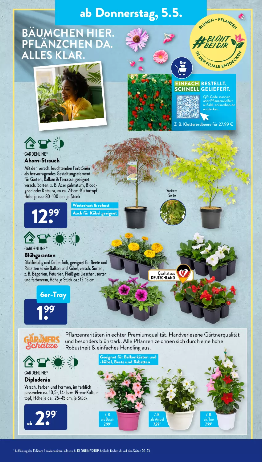 Aktueller Prospekt AldiSud - ALDI Aktuell - von 02.05 bis 07.05.2022 - strona 27 - produkty: acer, aldi, beere, Begonie, decke, dip, dipladenia, erdbeere, gardenline®, Garten, kulturtopf, Leuchte, leuchten, petunie, petunien, pflanze, pflanzen, Rauch, Ti, topf