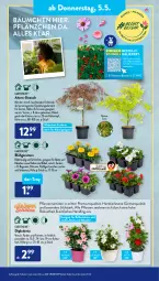 Gazetka promocyjna AldiSud - ALDI Aktuell - Gazetka - ważna od 07.05 do 07.05.2022 - strona 27 - produkty: acer, aldi, beere, Begonie, decke, dip, dipladenia, erdbeere, gardenline®, Garten, kulturtopf, Leuchte, leuchten, petunie, petunien, pflanze, pflanzen, Rauch, Ti, topf