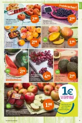 Gazetka promocyjna Tegut - Angebote der Woche - Gazetka - ważna od 27.05 do 27.05.2023 - strona 5 - produkty: angebot, angebote, aprikose, aprikosen, avocado, avocados, Bau, beere, beeren, bio, dekoration, eis, elle, fleisch, früchte, heidelbeere, heidelbeeren, leine, mango, melone, obst, pfirsich, pfirsiche, reis, Schal, Schale, teller, Ti, trauben, wasser, wassermelone, wein