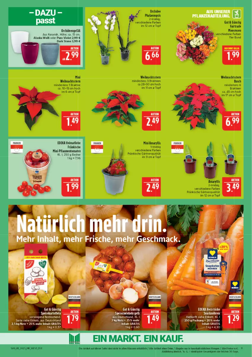 Aktueller Prospekt Marktkauf - Prospekt - von 23.11 bis 29.11.2025 - strona 9 - produkty: Becher, deka, eis, ente, orchidee, orchideen, pflaume, pflaumen, phalaenopsis, reis, rosen, snack, snacks, Speisezwiebeln, tee, Ti, tomate, tomaten, topf, Weihnachtsstern, ZTE, zwiebel, zwiebeln