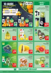Gazetka promocyjna Marktkauf - Prospekt - Gazetka - ważna od 29.11 do 29.11.2025 - strona 8 - produkty: avocado, banane, bananen, Behälter, braun, champignon, champignons, champignons braun, decke, Deckel, deka, eis, eisbergsalat, frucht, grapefruit, honig, honigmelone, melone, Mixer, orange, orangen, reis, rwe, salat, smoothie, tee, Ti, valensina, zitrone, zitronen, ZTE
