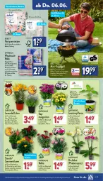 Gazetka promocyjna Aldi Nord - Von Montag - Gazetka - ważna od 08.06 do 08.06.2024 - strona 27 - produkty: auer, blume, Blüte, Brei, Clin, elle, Garten, gin, grill, grillfläche, gurke, gurken, Kugel, kugelgrill, kulturtopf, lavendel, LG, Optiwisch, orchidee, paprika, pflanze, pflanzen, phalaenopsis, Reinigung, Ria, rwe, Schal, Schale, Serviette, servietten, stauden, Ti, tomate, tomaten, topf, tuc, tücher, ZTE