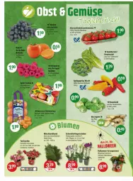 Gazetka promocyjna Vmarkt - Prospekte - Gazetka - ważna od 29.10 do 29.10.2025 - strona 4 - produkty: beere, beeren, bio, blume, blumen, cocktail, cocktails, eier, ingwer, Mett, orchidee, paprika, paprika mix, phalaenopsis, Rauch, rosen, Rosenkohl, salat, salatherzen, Schal, Schale, Schmetterling, schmetterlingsorchidee, Spitzpaprika, strauchtomaten, Ti, tomate, tomaten, topf