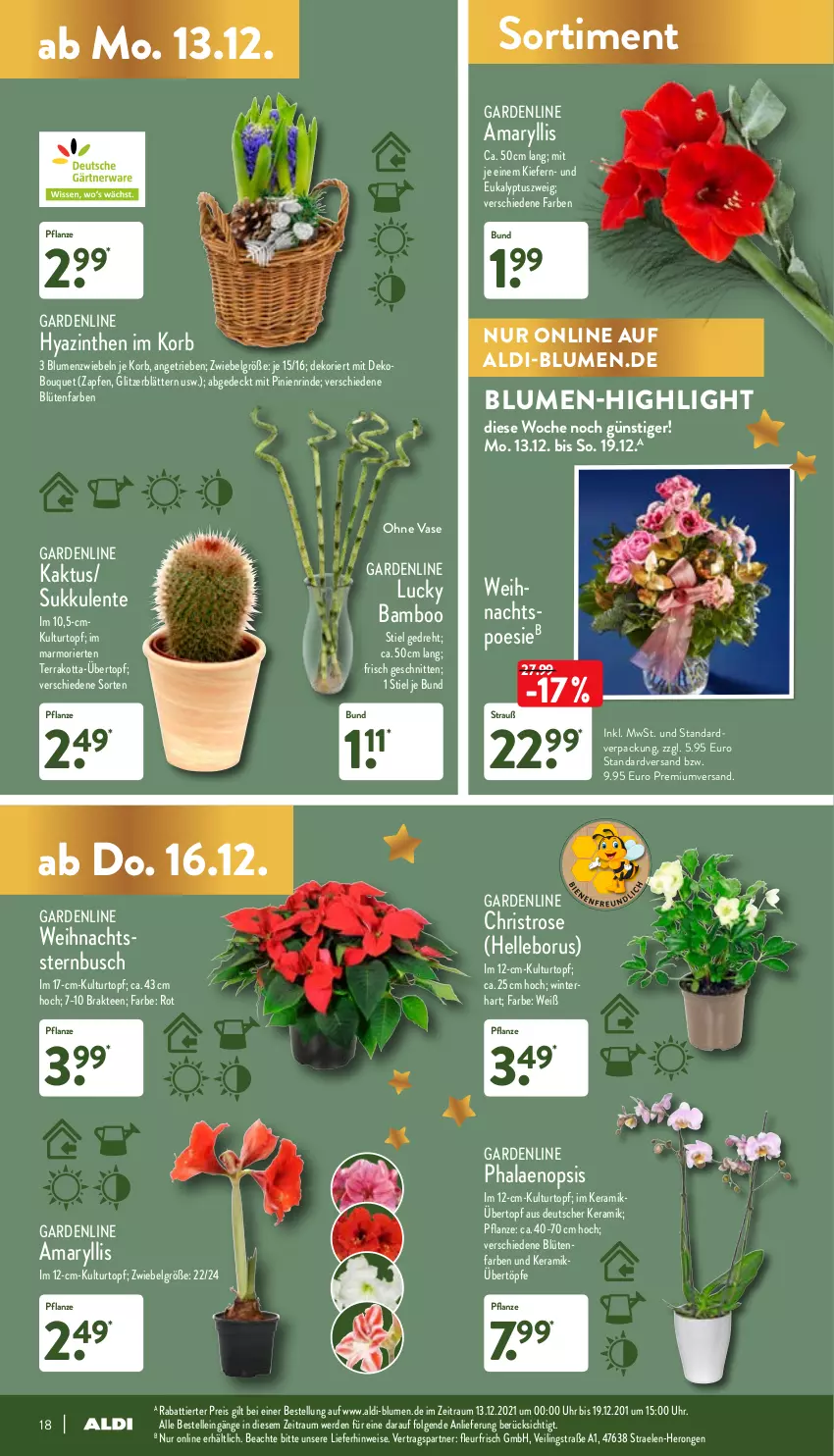 Aktueller Prospekt Aldi Nord - Aldi-Aktuell - von 13.12 bis 18.12.2021 - strona 18 - produkty: aldi, bamboo, blume, blumen, Blüte, Brei, eis, elle, ente, erde, hero, korb, kulturtopf, LG, pflanze, phalaenopsis, reis, rind, schnitten, Sukkulente, tee, Ti, topf, übertopf, uhr, Vase, Weihnachtsstern, zwiebel, zwiebeln