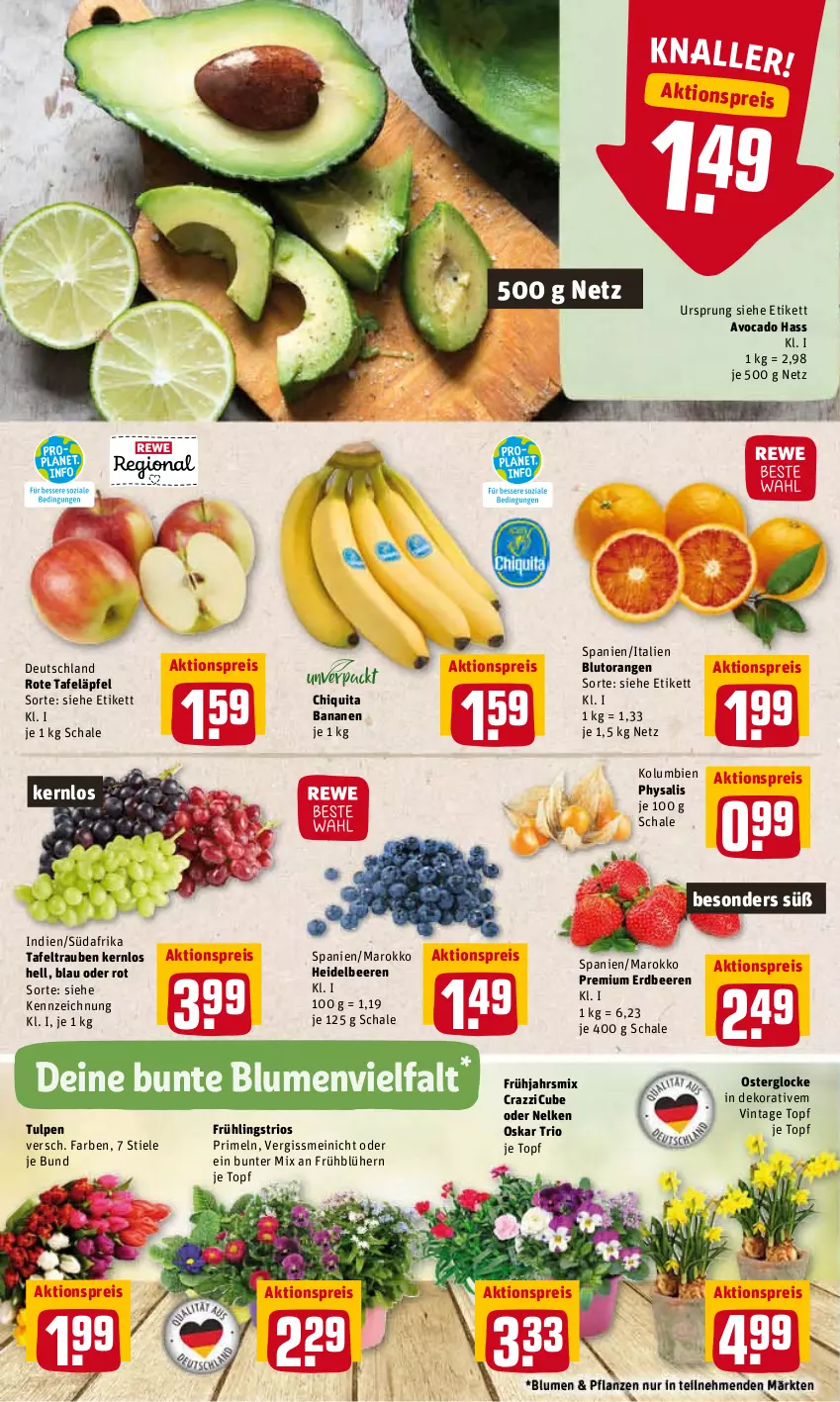 Aktueller Prospekt Rewe - Prospekte - von 14.03 bis 20.03.2022 - strona 2 - produkty: aktionspreis, avocado, banane, bananen, beere, beeren, blume, blumen, Blutorange, chiquita, eis, erdbeere, erdbeeren, heidelbeere, heidelbeeren, orange, orangen, pflanze, pflanzen, Physalis, Primeln, reis, rote tafeläpfel, Schal, Schale, tafeläpfel, tafeltrauben, Ti, topf, trauben