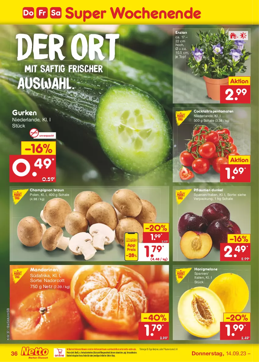 Aktueller Prospekt Netto Marken-Discount - Filial-Angebote - von 11.09 bis 16.09.2023 - strona 38 - produkty: asti, bestpreis, braun, champignon, cocktail, eis, gurke, gurken, honig, honigmelone, mandarine, mandarinen, melone, ndk, pflaume, pflaumen, reis, rispentomaten, saft, Schal, Schale, Ti, tomate, tomaten, topf