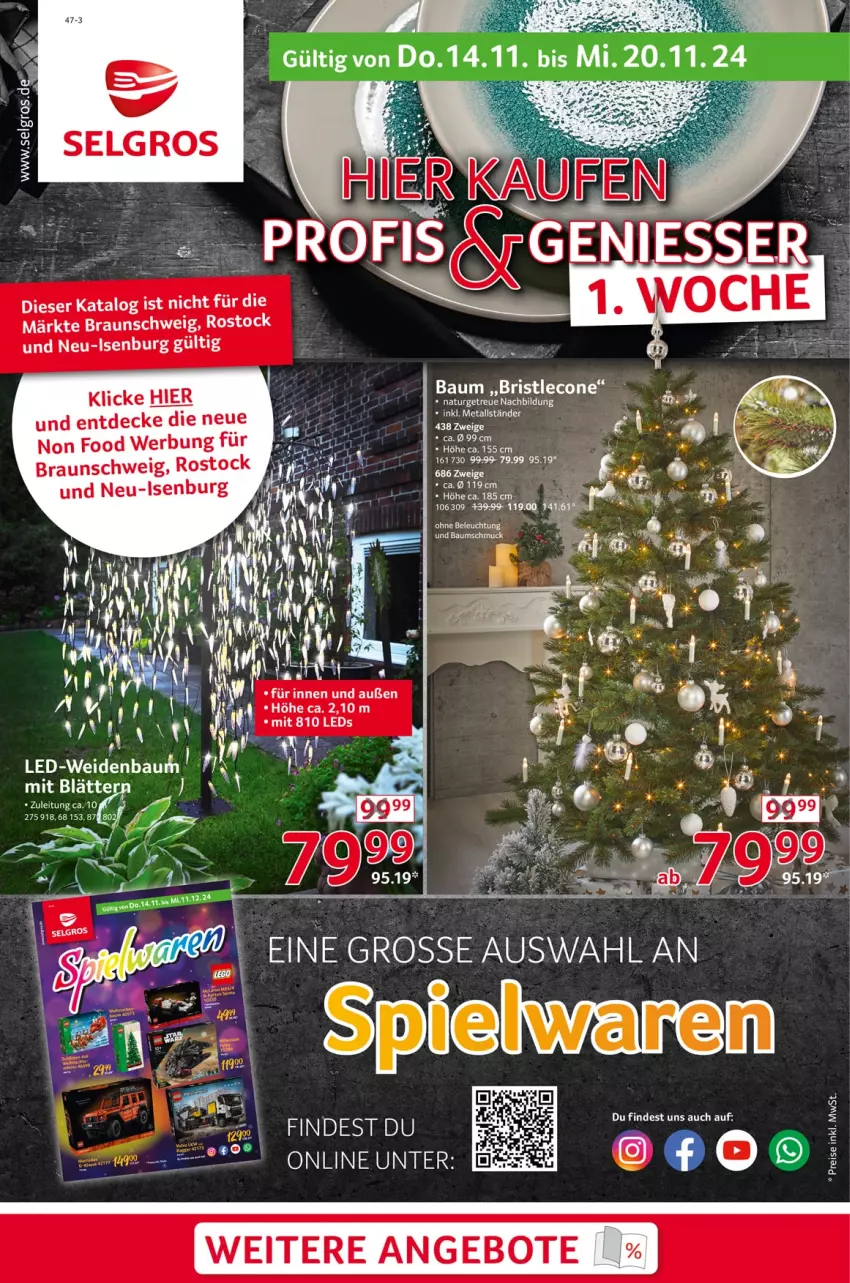 Aktueller Prospekt Selgros - Non Food - von 14.11 bis 20.11.2024 - strona 1 - produkty: angebot, angebote, Bau, braun, decke, leco, Ti