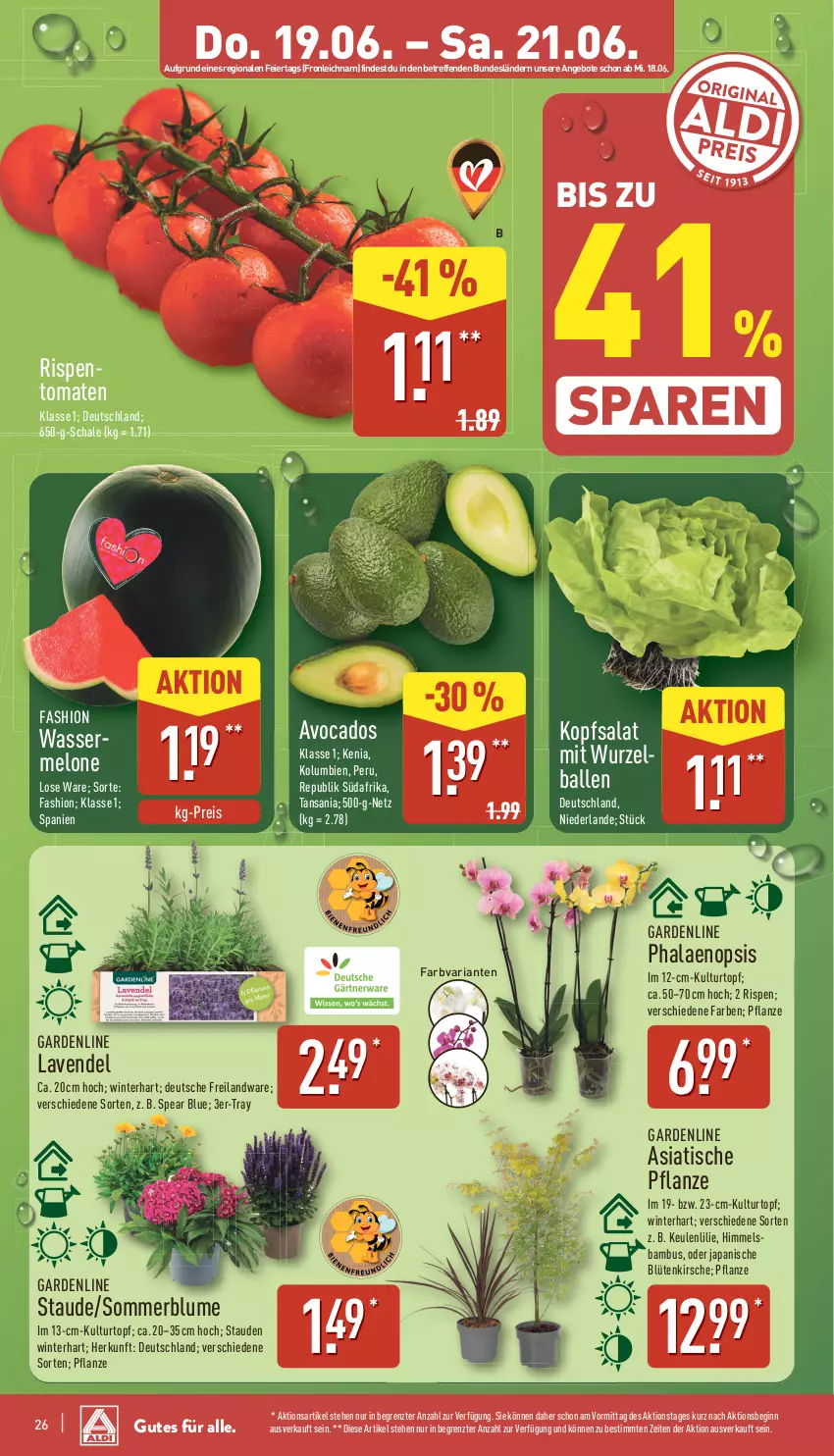 Aktueller Prospekt Aldi Nord - Von Montag - von 16.06 bis 21.06.2025 - strona 26 - produkty: angebot, angebote, avocado, avocados, ball, bambus, blume, Blüte, eier, eis, gin, kirsch, kirsche, kopfsalat, kulturtopf, lavendel, melone, pflanze, phalaenopsis, reis, Ria, rispentomaten, salat, Schal, Schale, stauden, Ti, tisch, tomate, tomaten, topf, wasser, wassermelone, ZTE