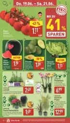Gazetka promocyjna Aldi Nord - Von Montag - Gazetka - ważna od 21.06 do 21.06.2025 - strona 26 - produkty: angebot, angebote, avocado, avocados, ball, bambus, blume, Blüte, eier, eis, gin, kirsch, kirsche, kopfsalat, kulturtopf, lavendel, melone, pflanze, phalaenopsis, reis, Ria, rispentomaten, salat, Schal, Schale, stauden, Ti, tisch, tomate, tomaten, topf, wasser, wassermelone, ZTE