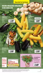 Gazetka promocyjna Lidl - Aktionsprospekt - Gazetka - ważna od 28.05 do 28.05.2022 - strona 3 - produkty: aubergine, auberginen, auer, Becher, champignon, champignons, discount, eis, frucht, gin, grill, lebensmittel, LG, mais, monitor, obst, Obst und Gemüse, paprika, pflanze, pflanzen, pril, reis, Ti, topf, und gemüse, zucker, zuckermais