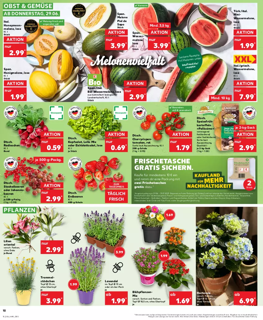 Aktueller Prospekt Kaufland - Prospekt - von 29.06 bis 05.07.2023 - strona 10 - produkty: angebot, beere, beeren, bio, Eichblattsalat, eis, erdbeere, erdbeeren, gutschein, honig, honigmelone, hortensie, HP, kartoffel, kartoffeln, kerze, kopfsalat, lavendel, melone, obst, pflanze, pflanzen, radieschen, reis, rezept, rezepte, sac, salat, Schal, Schale, sim, Stachelbeeren, Sushi, Tasche, taschen, Tchibo, telefon, Ti, tisch, tomate, tomaten, topf, trolli, trommel, übertopf, wasser, wassermelone, ZTE