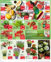 Gazetka promocyjna Kaufland - Prospekt - Gazetka - ważna od 05.07 do 05.07.2023 - strona 10 - produkty: angebot, beere, beeren, bio, Eichblattsalat, eis, erdbeere, erdbeeren, gutschein, honig, honigmelone, hortensie, HP, kartoffel, kartoffeln, kerze, kopfsalat, lavendel, melone, obst, pflanze, pflanzen, radieschen, reis, rezept, rezepte, sac, salat, Schal, Schale, sim, Stachelbeeren, Sushi, Tasche, taschen, Tchibo, telefon, Ti, tisch, tomate, tomaten, topf, trolli, trommel, übertopf, wasser, wassermelone, ZTE