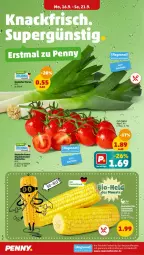 Gazetka promocyjna Penny - Prospekte - Gazetka - ważna od 21.09 do 21.09.2024 - strona 2 - produkty: fenster, rispentomaten, Schal, Schale, Ti, tomate, tomaten