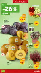 Gazetka promocyjna Penny - Prospekte - Gazetka - ważna od 21.09 do 21.09.2024 - strona 3 - produkty: kiwi, korb, Ti, topf, zespri