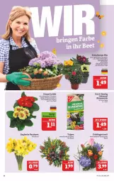 Gazetka promocyjna Marktkauf - Prospekt - Gazetka - ważna od 26.02 do 26.02.2022 - strona 10 - produkty: beetpflanzen, blume, blumen, blumenerde, Blüte, Engel, erde, Narzissen, pflanze, pflanzen, Ria, sac, Ti, topf
